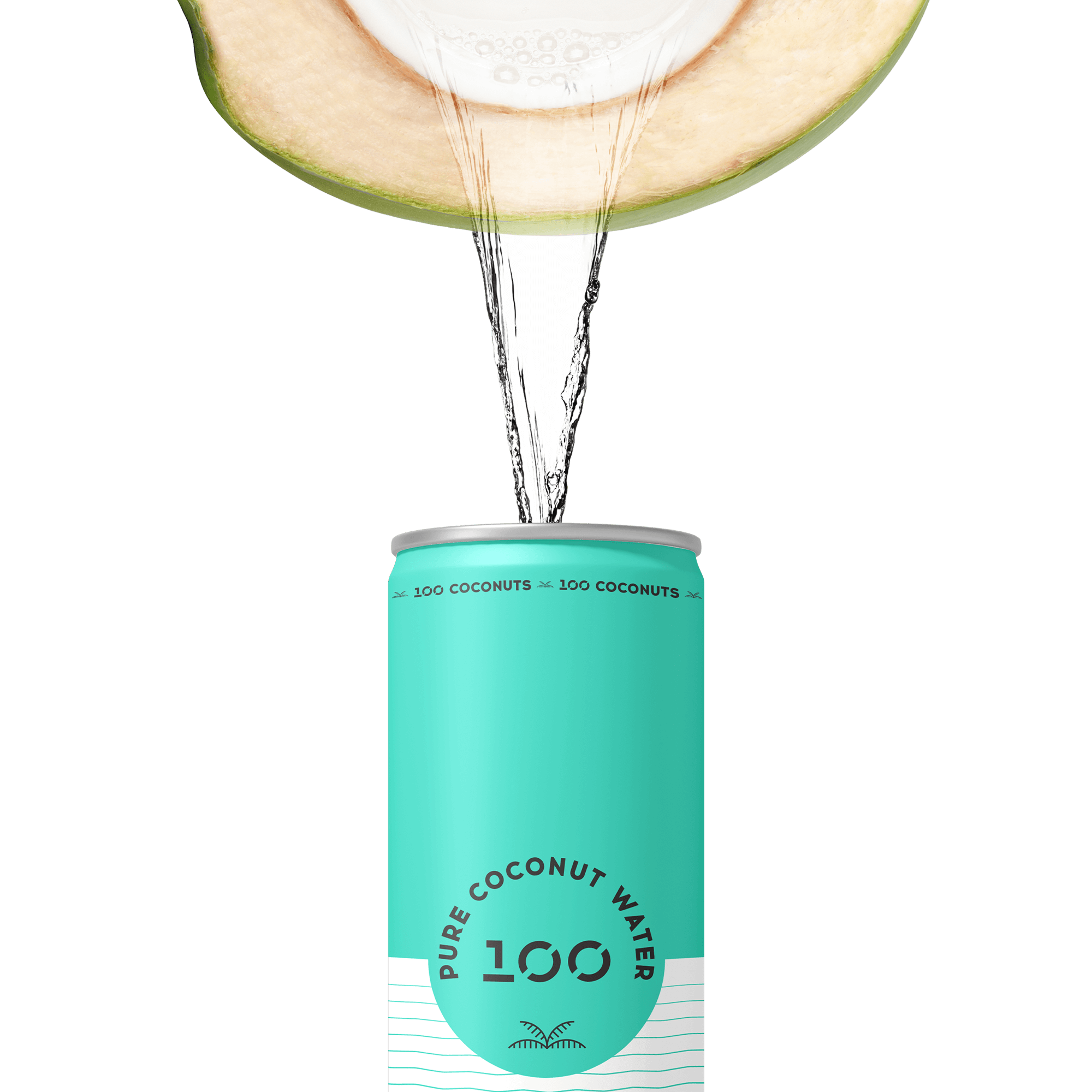 PURE COCONUT WATER 11oz